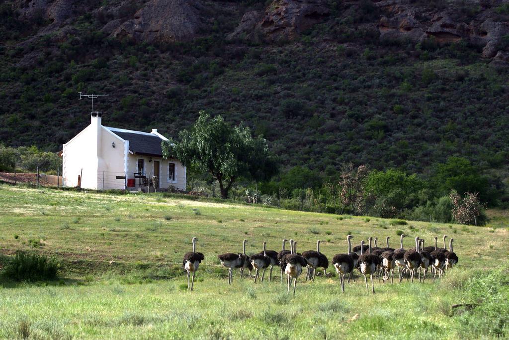 Red Stone Hills Villa Buffelskloof Exterior photo